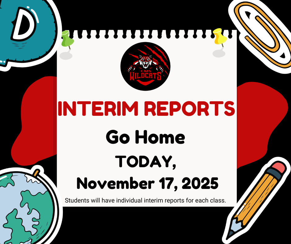 Interim Reports